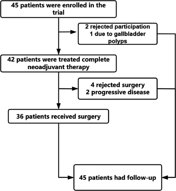 Four-year follow-up from the phase 2 study TD-NICE: neoadjuvant treatment of tislelizumab combined with chemotherapy in resectable esophageal squamous cell carcinoma.