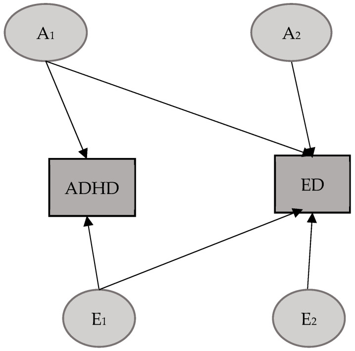 Exploring the Relationship of Cognitive Disengagement Syndrome and Attention Deficit/Hyperactivity Disorder with Emotional Dysregulation: A Twin Study in Childhood and Adolescence.