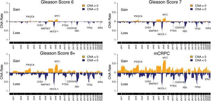 Systems biology successes and areas for opportunity in prostate cancer.