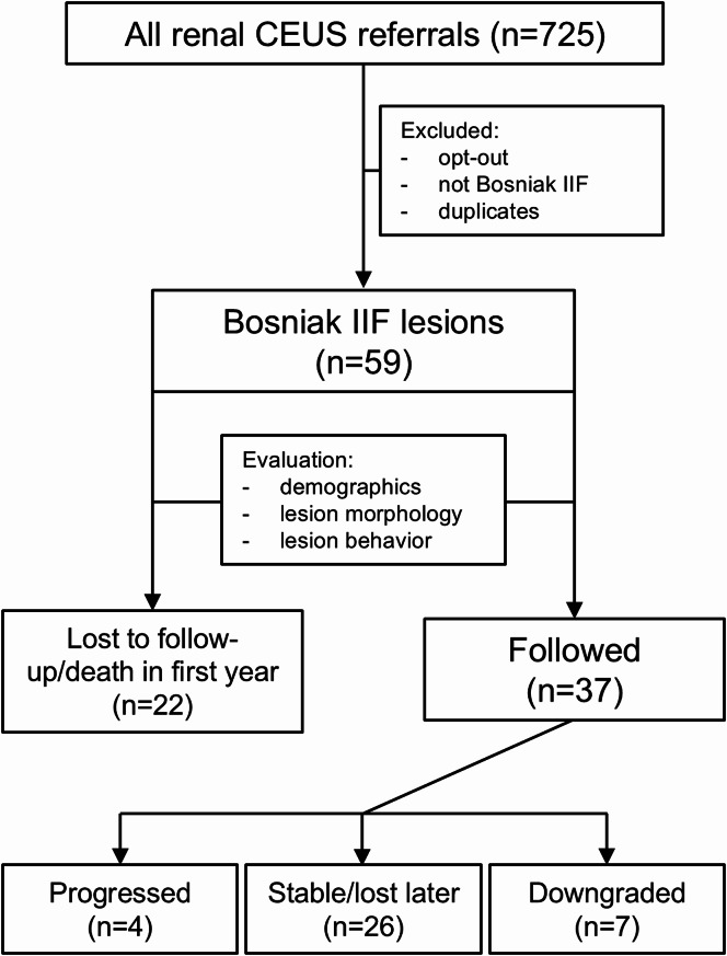 The value of contrast-enhanced ultrasound in the follow-up of Bosniak IIF cystic renal lesions.