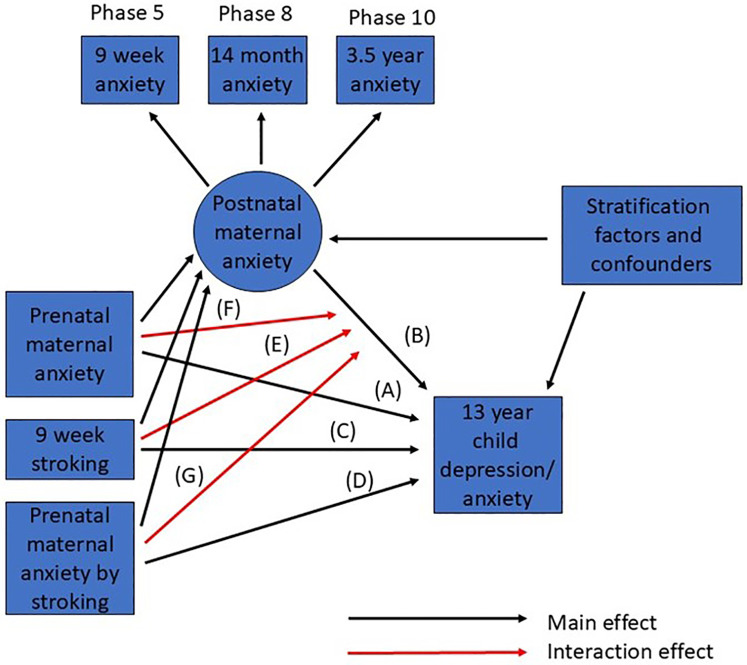 Investigating sex differences in developmental origins of adolescent depression.