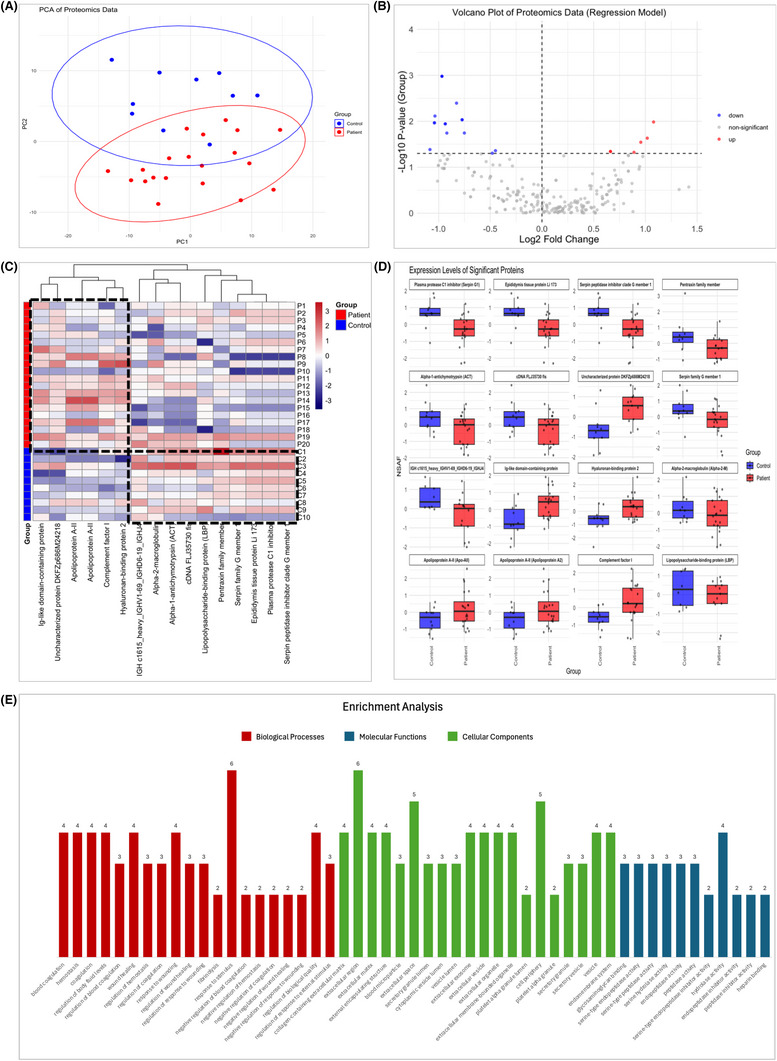 Proteomic profiling identifies serpin G1, ApoA-II, and LBP as potential biomarkers of dementia in an Egyptian cohort.
