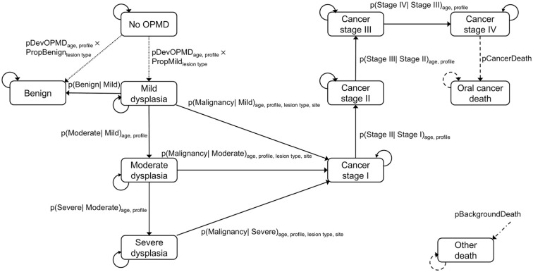 Simulation Modeling of Oral Cancer Development with Risk Stratification: How Potential Screening Programs Can Be Evaluated.
