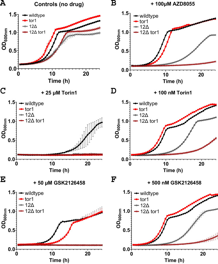 An mTOR inhibitor discovery system using drug-sensitized yeast.