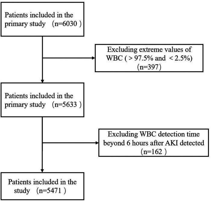 Linear correlation between white blood cell counts and the progression and prognosis of acute kidney injury.