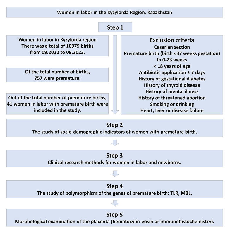 Impact of Sociodemographic, Clinical, and Genetic Factors and <i>Fusobacterium nucleatum</i> on Premature Birth Outcomes in Women from Kazakhstan: A Case-Control Study.