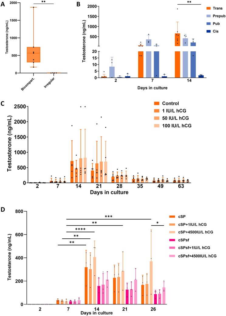 A new human <i>in vitro</i> model of cytotypic and testosterone-producing organoids derived from testicular tissue of transgender women.