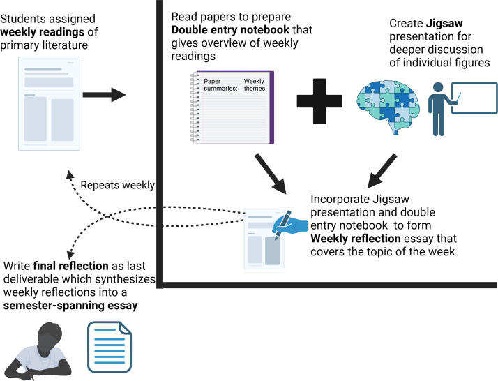 Scaffolding of assignments and grading to promote STEM literacy in a human microbiome course.