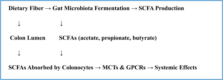 Metabolic interplay of SCFA's in the gut and oral microbiome: a link to health and disease.