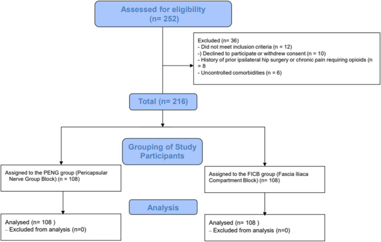 Effects of pericapsular nerve group block and fascia Iliaca compartment block on postoperative analgesia and early rehabilitation in elderly patients undergoing total hip arthroplasty.