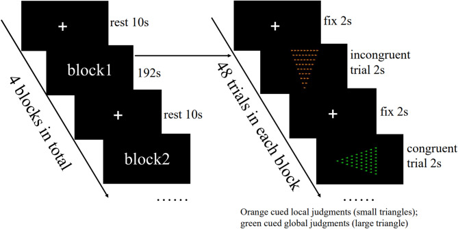 Long-term basketball training shapes cerebellar-frontal integration for enhanced cognitive control.