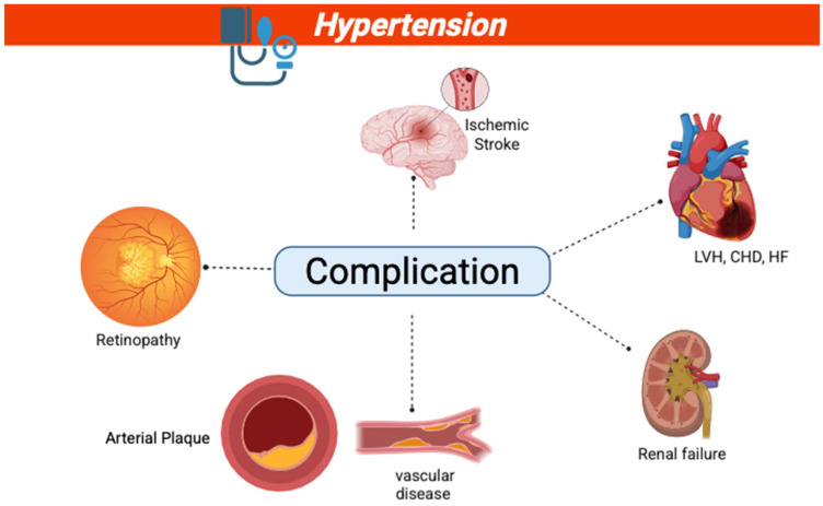 Blood Pressure Variability in Hypertension: A Rehabilitation Perspective.