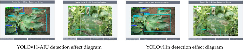 YOLOv11-AIU: a lightweight detection model for the grading detection of early blight disease in tomatoes.