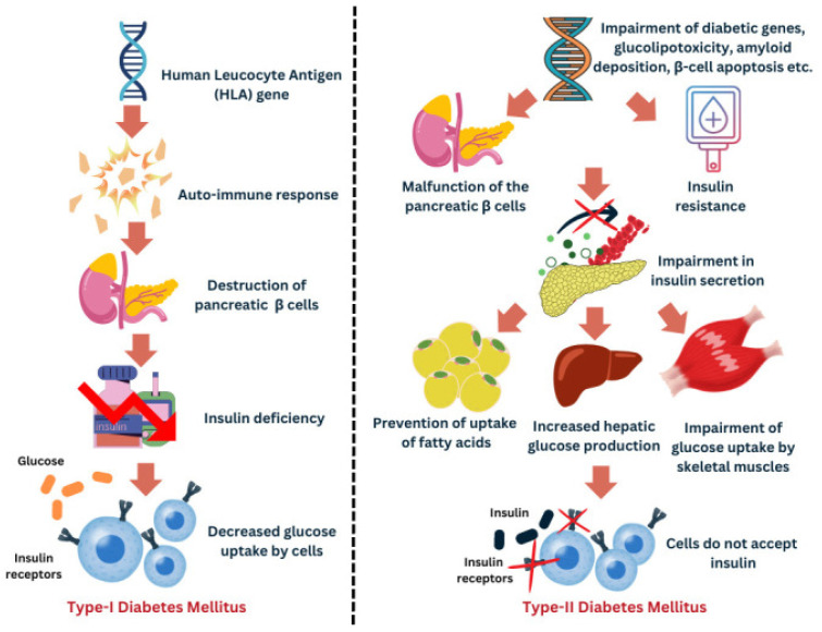 The Role of Vitamin D Supplementation in Type 1, Type 2, and Gestational Diabetes: A Comprehensive Updated Narrative Review.