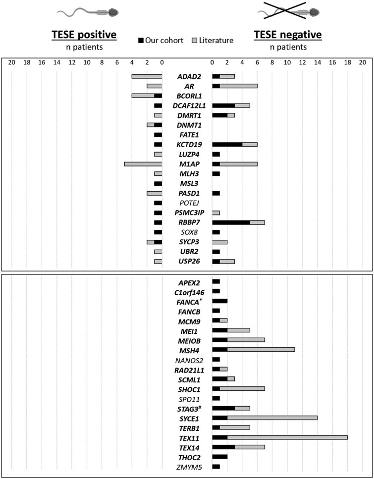 Genetic determinants of testicular sperm extraction outcomes: insights from a large multicentre study of men with non-obstructive azoospermia.