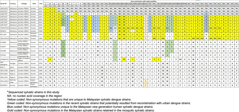 Genomic evidence links human dengue cases with undetermined serotypes to sylvatic lineages.