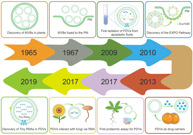 The potential of plant-derived vesicles in treating periodontitis and associated systemic diseases: current advances and future directions.