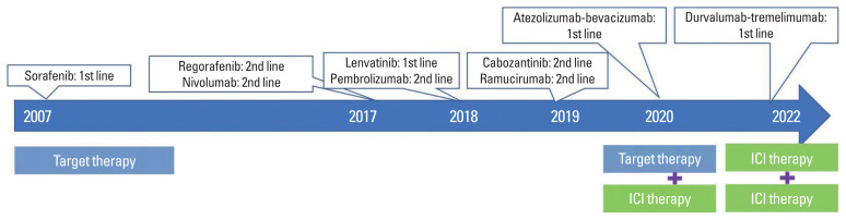 Spectrum of therapeutic options in hepatocellular carcinoma.