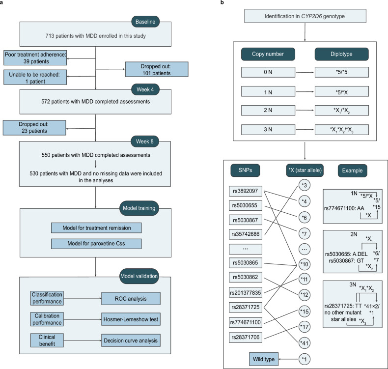 Advancing paroxetine treatment in depression: predicting remission and plasma concentration, and validating and updating therapeutic reference ranges.