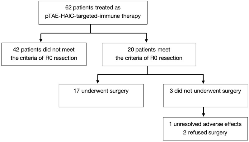 A Novel Quadruple Conversion Therapy: Converting Initially Unresectable Hepatocellular Carcinoma to Resectable with pTAE-HAIC, Tyrosine Kinase Inhibitors, and Anti-PD-1 Antibodies.