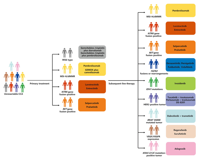Targeted therapies and immunotherapies for unresectable cholangiocarcinoma.