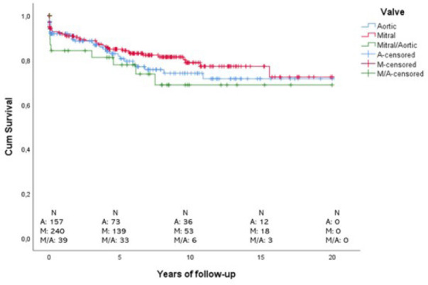 Long-Term Safety and Performance of a National Pericardium Organic Valvular Bioprosthesis in the Brazilian Public Health System: Retrospective Analysis Up To 26 Years of Follow-up.