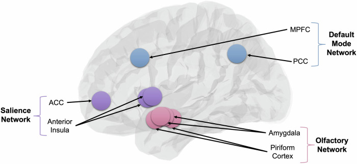 Modulating salience network connectivity through olfactory nerve stimulation.