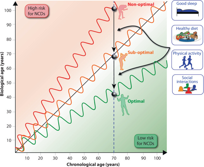 Modulating biological aging with food-derived signals: a systems and precision nutrition perspective.