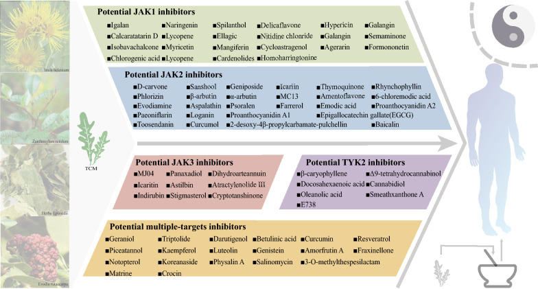 An exhaustive examination of the research progress in identifying potential JAK inhibitors from natural products: a comprehensive overview.