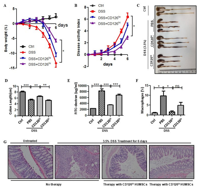 CD126<sup>hi</sup> umbilical cord mesenchymal stem cells sensitive to IL-6 ameliorate inflammatory bowel disease by producing TGF-β1.