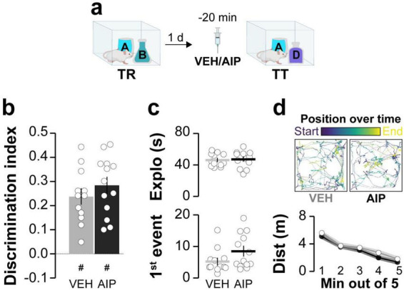 CaMKII modulates memory destabilization by regulating the interaction of theta and gamma oscillations.