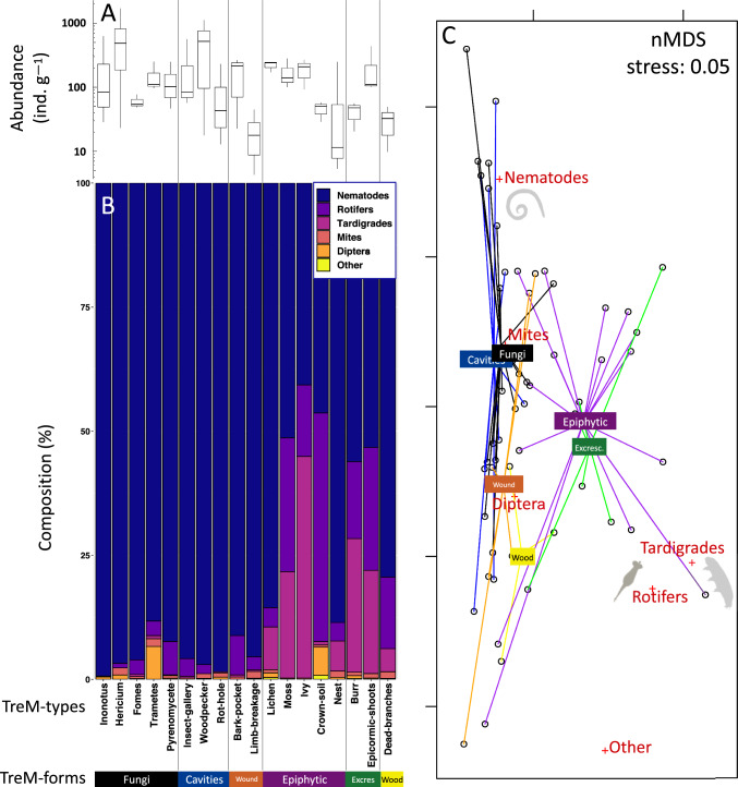 Tree-related microhabitats harbor distinct micro-invertebrate communities and support complex food webs.