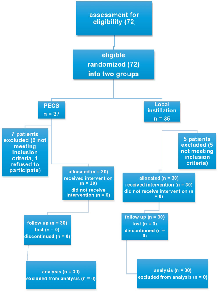 Could Wound Instillation Provide an Efficient Analgesia Comparable to That Provided by PECS-II Block for Modified Radical Mastectomy Using Ketamine-Bupivacaine Combination? A Pilot Study.