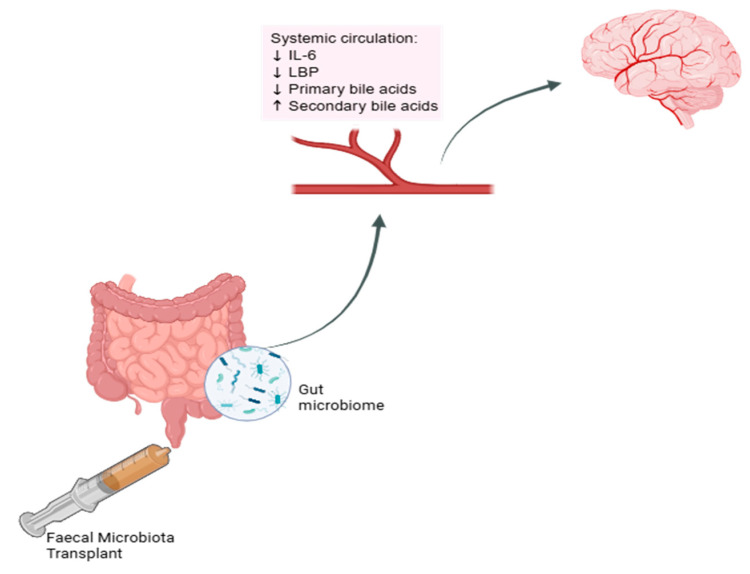 The Effect of Faecal Microbiota Transplantation on Cognitive Function in Cognitively Healthy Adults with Irritable Bowel Syndrome: Protocol for a Randomised, Placebo-Controlled, Double-Blinded Pilot Study.