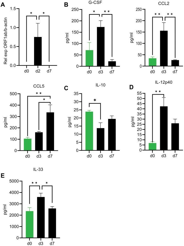 IL-4 and TGF-β regulate inflammatory cytokines and cellular infiltration in the lung and systemic IL-6 in mouse-adapted SARS-CoV-2 infection.
