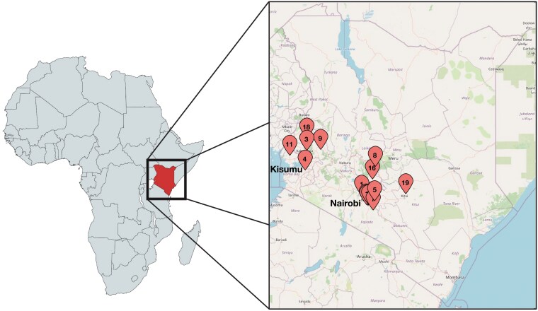 Analysis of anatomic pathology and laboratory medicine diagnostic services and infrastructure available at a sample of institutions in Kenya.