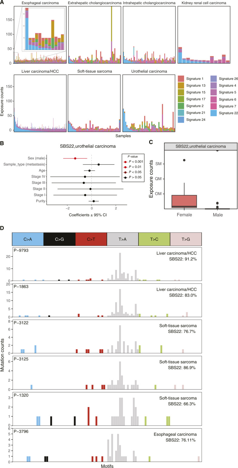 Characterization of Mutational Signatures in Tumors from a Large Chinese Population.