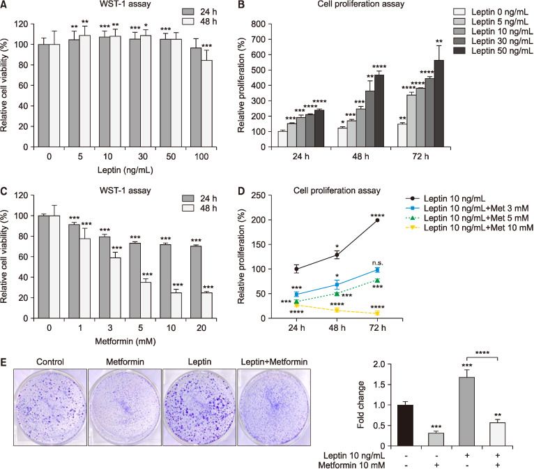 Antitumor Effects of Metformin in Squamous Cell Carcinoma under Leptin Treatment Conditions.