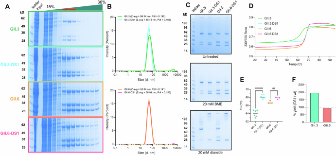 Stabilization of norovirus GII.3 virus-like particles by rational disulfide engineering.