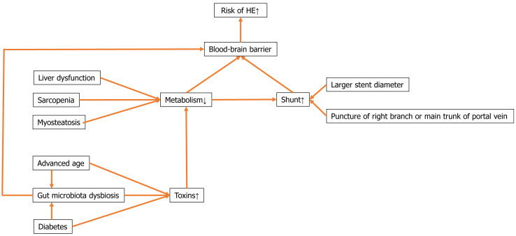 Risk factors for hepatic encephalopathy after transjugular intrahepatic portosystemic shunt in cirrhotic patients: A comprehensive minireview.