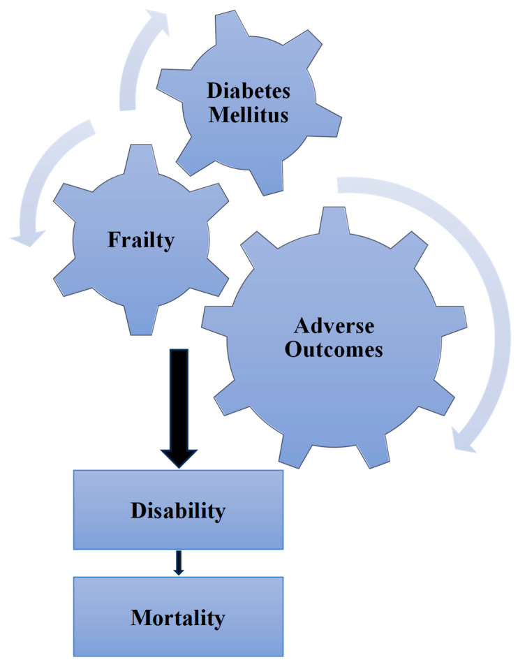 Practical Considerations in the Management of Frail Older People with Diabetes.