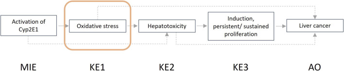 Refinement of a workflow for human relevance assessment of adverse outcome pathways and associated new approach methodologies.