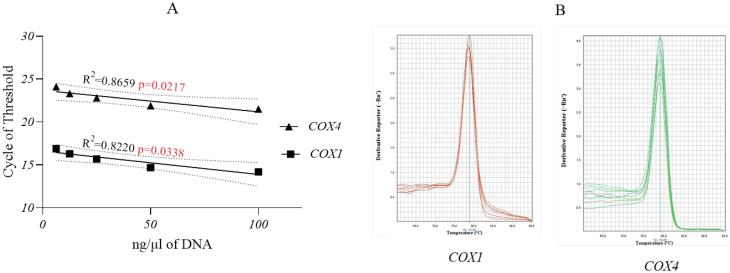 mtDNA copy number/<i>miR663/AATF</i> axis in invasive ductal carcinoma of the breast.