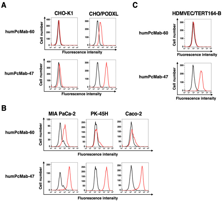 A Cancer-Specific Anti-Podocalyxin Monoclonal Antibody (humPcMab-60) Demonstrated Antitumor Efficacy in Pancreatic and Colorectal Cancer Xenograft Models.