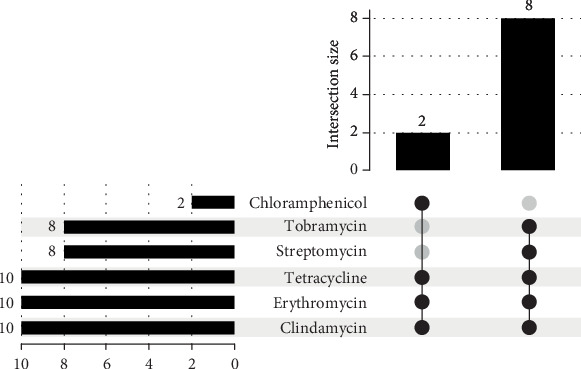 Genomic and Bioinformatic Insights Into <i>Enterococcus faecalis</i> From Retail Meats in Nigeria.