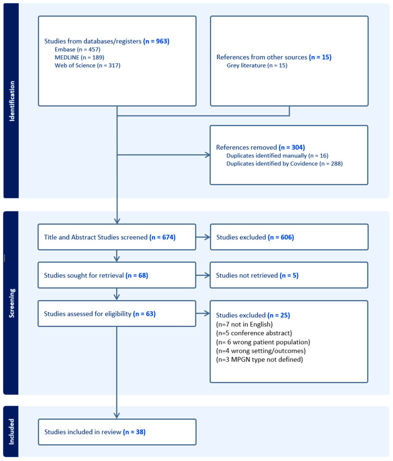 The Retinal Complications of C3 Dense Deposit Disease: A Scoping Review.