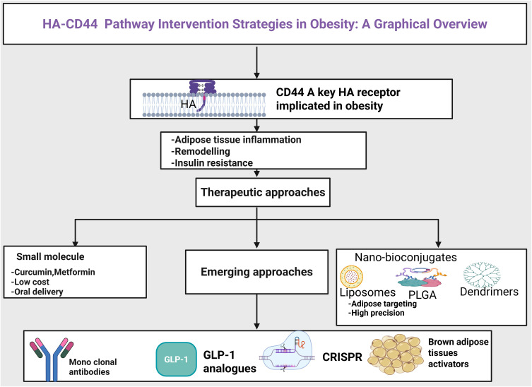 Combined Hyaluronic Acid Nanobioconjugates Impair CD44-Signaling for Effective Treatment Against Obesity: A Review of Comparison with Other Actors.