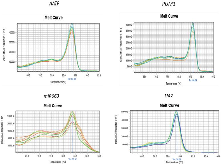 mtDNA copy number/<i>miR663/AATF</i> axis in invasive ductal carcinoma of the breast.