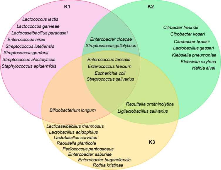 Bacteriological Identification, Characterization and Changes of Feces Microbiome in Prostate Cancer Patients Undergoing Radiotherapy.