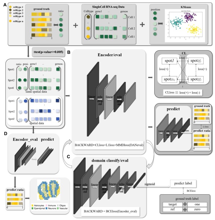 ST-deconv: an accurate deconvolution approach for spatial transcriptome data utilizing self-encoding and contrastive learning.